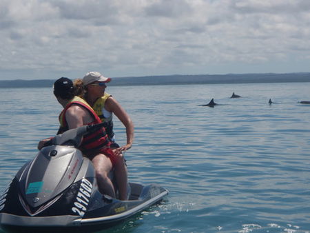 Aquavue Cafe Watersports - Accommodation NSW 5