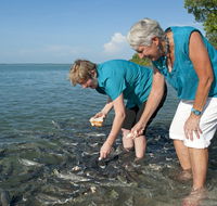 Aquascene Fish Feeding Sanctuary - Accommodation NSW