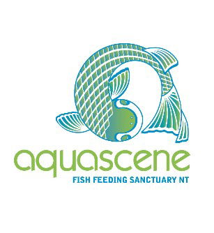 Aquascene Fish Feeding Sanctuary - Accommodation NSW 5