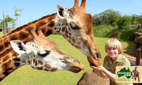 Australia Zoo - Accommodation NSW 4