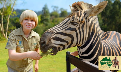 Australia Zoo - Accommodation NSW 5