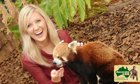 Australia Zoo - Accommodation NSW 7
