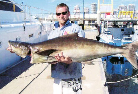 True Blue Fishing Charters - Accommodation NSW 0