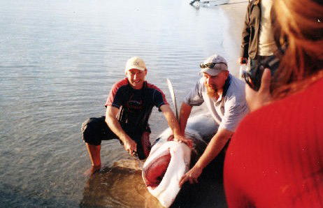 True Blue Fishing Charters - Accommodation NSW 1