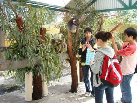 Caversham Wildlife Park - Accommodation NSW 4