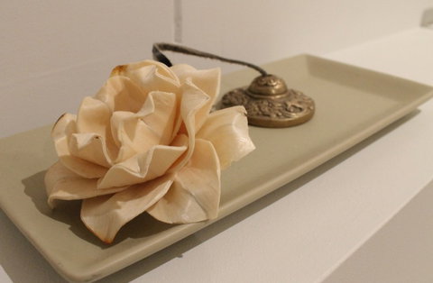 The Boardwalk Spa - Accommodation NSW 5