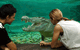 Cairns Wildlife Dome - thumb 1