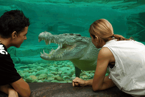Cairns Wildlife Dome - Accommodation NSW 1
