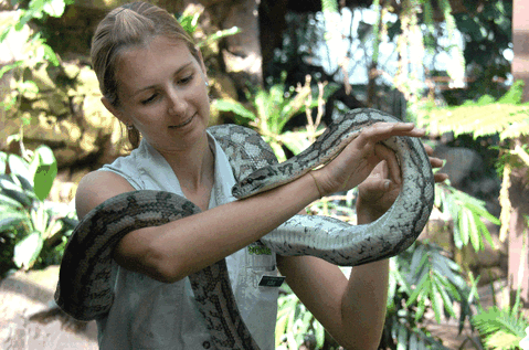 Cairns Wildlife Dome - Accommodation NSW 2