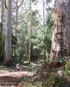  Accommodation NSW