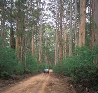 Boranup Drive - Accommodation NSW