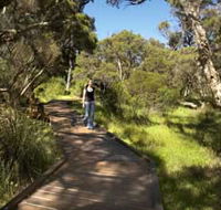 Leschenault Peninsula Conservation Park - Accommodation NSW