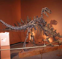 Denmark Dinosaur World - Accommodation NSW