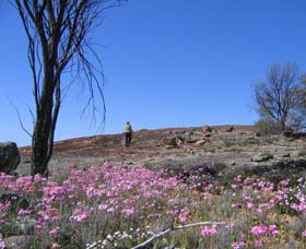 Talgomine Reserve - Accommodation NSW 0