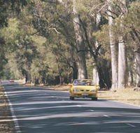 Ludlow Tuart Forest - Accommodation NSW