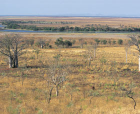 Marglu Billabong - Accommodation NSW 0