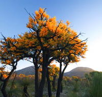 Cape Le Grand National Park - Accommodation NSW