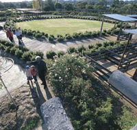 Kojonup Rose Maze - Accommodation NSW