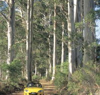 Mount Shadforth Scenic Drive - Accommodation NSW