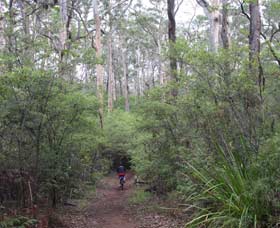 Margaret River Rails Trail - Accommodation NSW 0