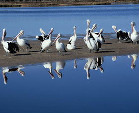 Peel Region Canoe Trails - Accommodation NSW 0