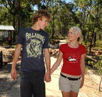 Crooked Brook Forest - Accommodation NSW