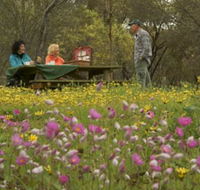 Gwambygine Park - Accommodation NSW