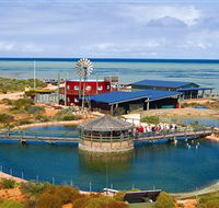 Ocean Park Aquarium - Accommodation NSW