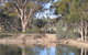Merredin Railway Dam - thumb 0