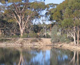 Merredin Railway Dam - Accommodation NSW 0