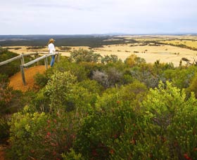 Archer Drive Scenic Drive And Lookout - Accommodation NSW 0