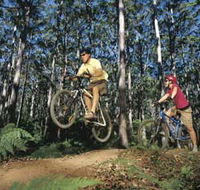 Leeuwin-Naturaliste National Park - Cowaramup - Accommodation NSW