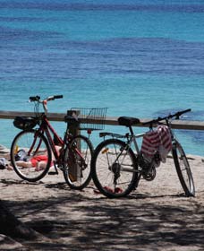 Parker Point Marine Snorkel Trail - Accommodation NSW 0