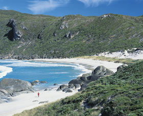 D'Entrecasteux National Park - Accommodation NSW 0