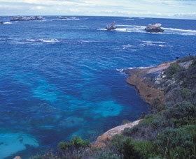 Cosy Corner - Accommodation NSW 0