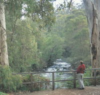 Cascades - Accommodation NSW