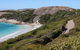 Great Ocean Pathway - thumb 0
