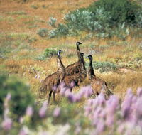 Jurabi Coastal Reserve - Accommodation NSW