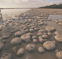Yalgorup National Park - Accommodation NSW
