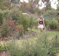 The Mythic Mazes - Accommodation NSW