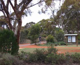 Gribble Creek Walk And Cycle Way - Accommodation NSW 0