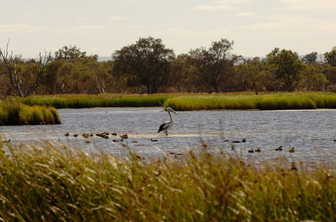 Anytime Adventures In Mandurah & The Peel Region - Accommodation NSW 0