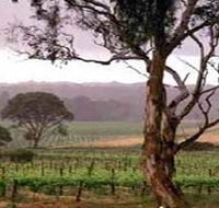 Yangarra Estate Vineyard - Accommodation NSW
