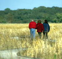 Onkaparinga River Recreation Park - Accommodation NSW