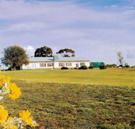 Lucindale Country Club - Accommodation NSW