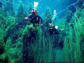 Ewens Ponds Conservation Park - Accommodation NSW 0