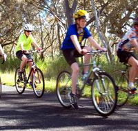 Penola Cycling Trails - Accommodation NSW