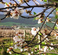 Cradle of Hills McLaren Vale Winery - Accommodation NSW
