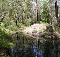 Para Wirra Recreation Park - Accommodation NSW
