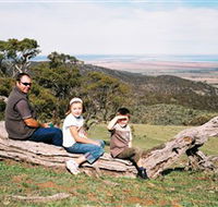 Bridle Track - Accommodation NSW